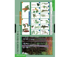 Таблицы "Растения и окружающая среда" (7 таблиц)